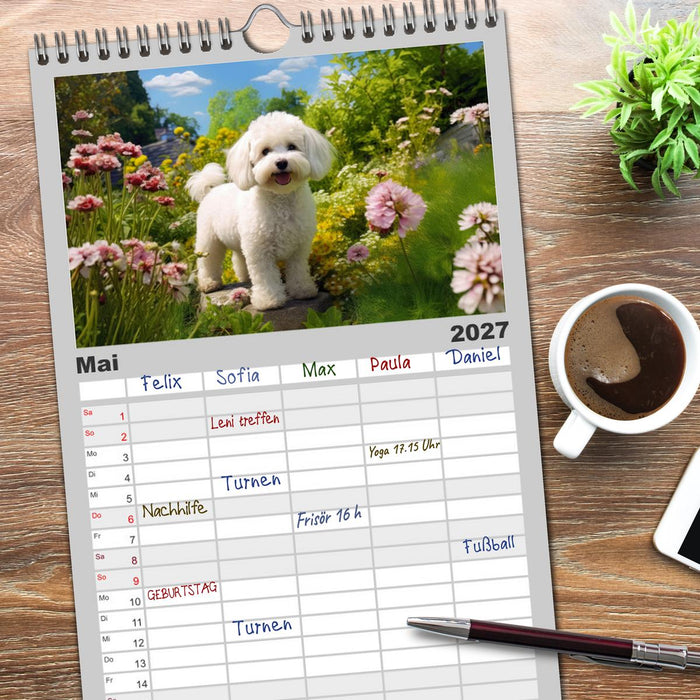 Bichon frisé, weiße Hündchen mit lockigem Haar (CALVENDO Familienplaner 2027)