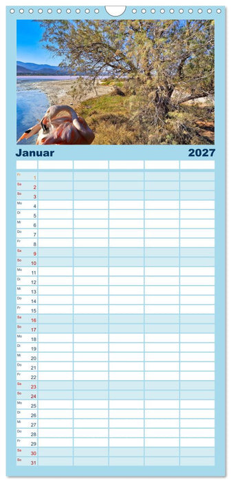 Kos - zauberhafte Insel des Dodekanes (CALVENDO Familienplaner 2027)