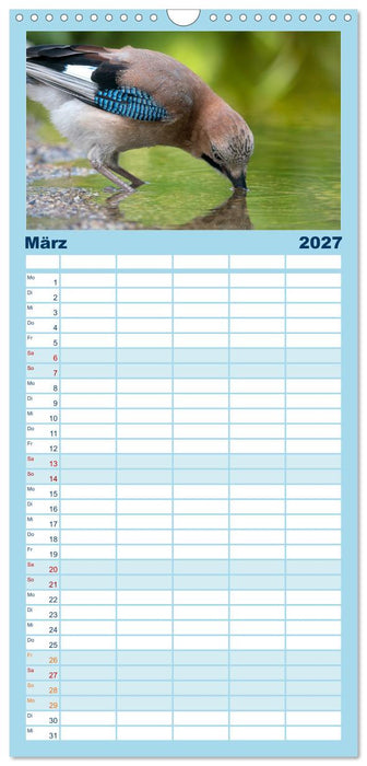 Unsere Vogelvielfalt: Ein Schatz zum Entdecken und Schützen (CALVENDO Familienplaner 2027)