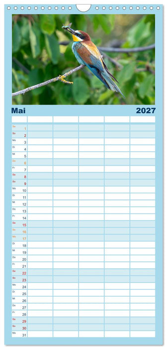 Unsere Vogelvielfalt: Ein Schatz zum Entdecken und Schützen (CALVENDO Familienplaner 2027)