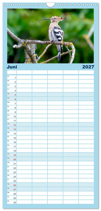 Unsere Vogelvielfalt: Ein Schatz zum Entdecken und Schützen (CALVENDO Familienplaner 2027)