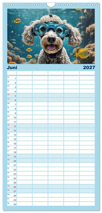 Hunde abgetaucht (CALVENDO Familienplaner 2027)