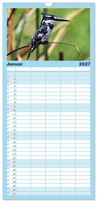 Gefiederte Schönheiten Ostafrikas (CALVENDO Familienplaner 2027)