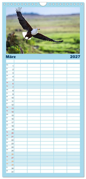 Gefiederte Schönheiten Ostafrikas (CALVENDO Familienplaner 2027)