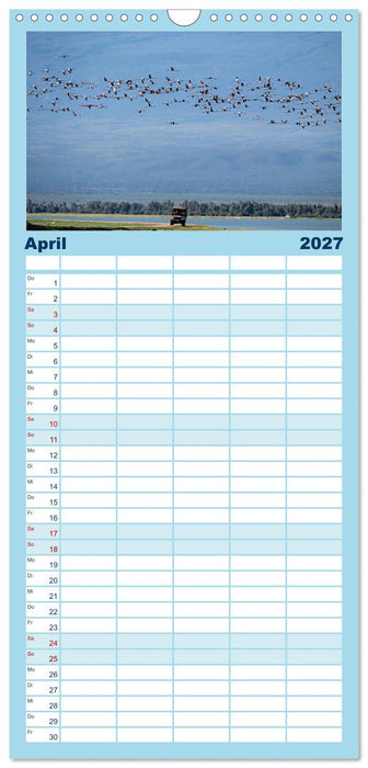 Gefiederte Schönheiten Ostafrikas (CALVENDO Familienplaner 2027)