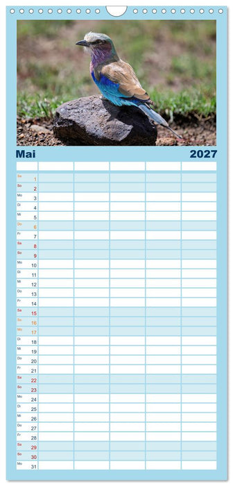 Gefiederte Schönheiten Ostafrikas (CALVENDO Familienplaner 2027)