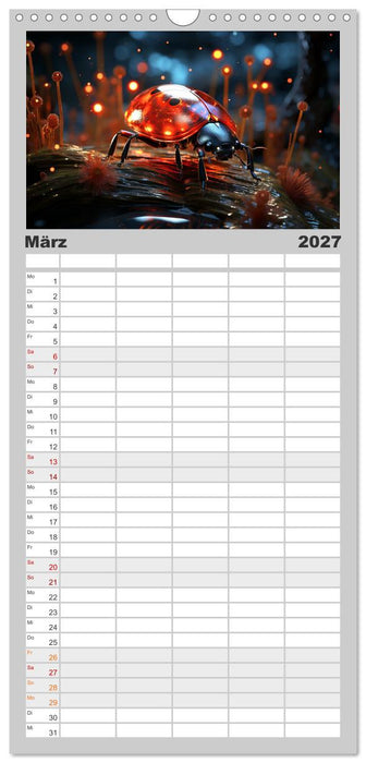Magische Insekten (CALVENDO Familienplaner 2027)