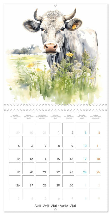 Country Cows (CALVENDO Monthly Calendar 2027)