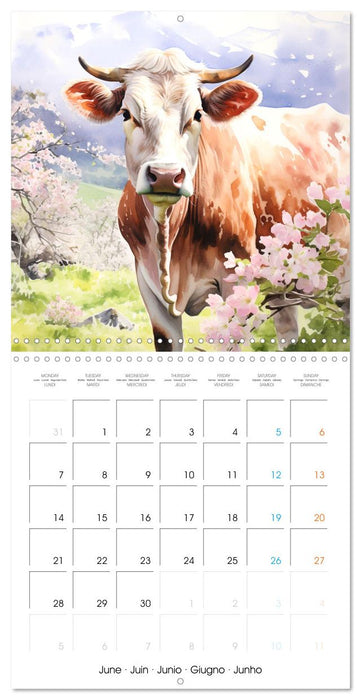 Country Cows (CALVENDO Monthly Calendar 2027)
