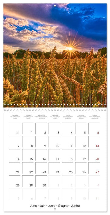 Les paysages d'Allemagne (CALVENDO Calendrier mensuel 2027)