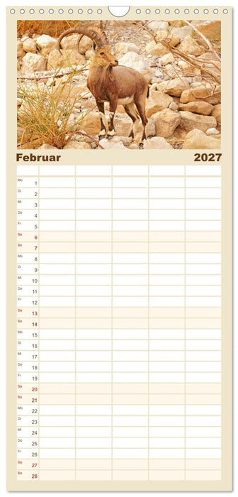 Zwischen Tradition und Moderne: Israel (CALVENDO Familienplaner 2027)
