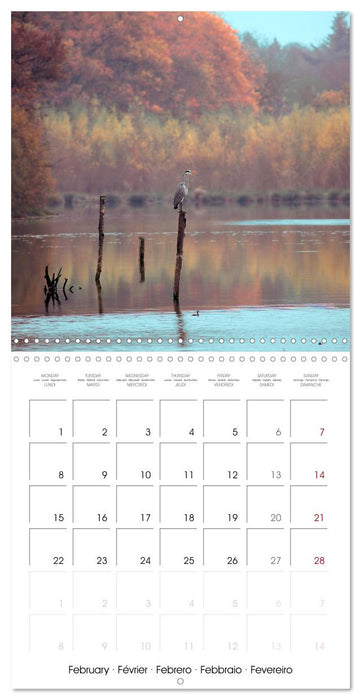 Les couleurs de la Vienne (CALVENDO Calendrier mensuel 2027)
