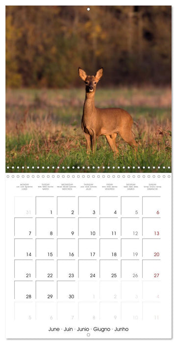 Les couleurs de la Vienne (CALVENDO Calendrier mensuel 2027)