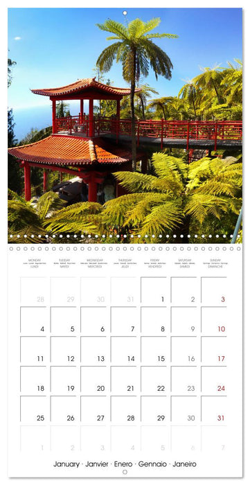 Madeira, Beauty of Nature (CALVENDO Monthly Calendar 2027)