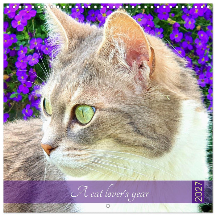 A cat lover's year (CALVENDO Monthly Calendar 2027)