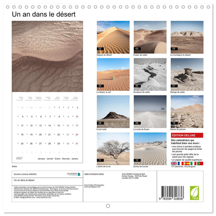 Un an dans le désert (CALVENDO Calendrier mensuel 2027)