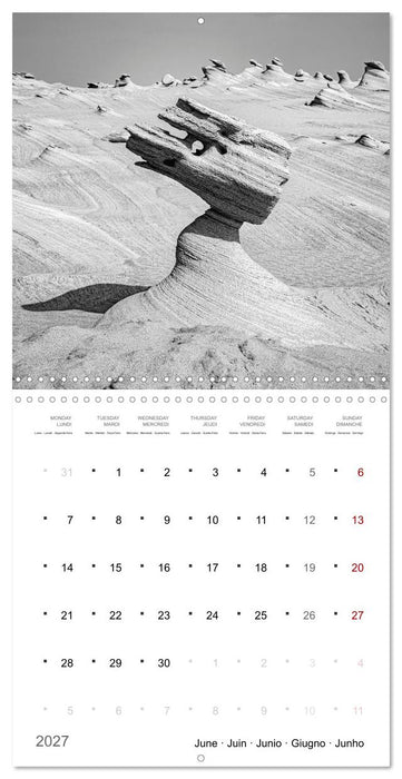 Un an dans le désert (CALVENDO Calendrier mensuel 2027)