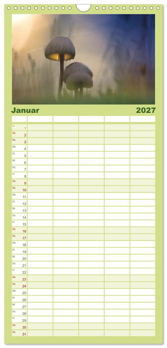 Pilzmagie (CALVENDO Familienplaner 2027)