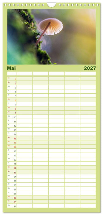 Pilzmagie (CALVENDO Familienplaner 2027)