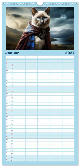 Schottische Katzenhelden (CALVENDO Familienplaner 2027)