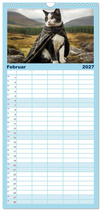 Schottische Katzenhelden (CALVENDO Familienplaner 2027)