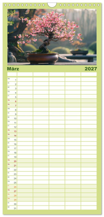 Bonsai meditativ (CALVENDO Familienplaner 2027)