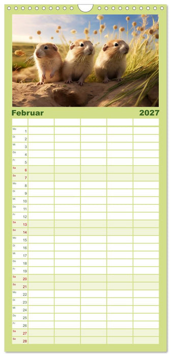 Nach Art der Lemminge (CALVENDO Familienplaner 2027)