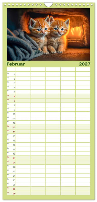 Katzen Freunde (CALVENDO Familienplaner 2027)