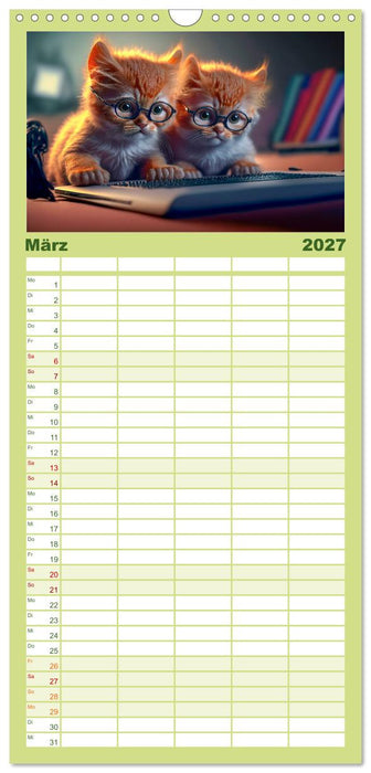 Katzen Freunde (CALVENDO Familienplaner 2027)