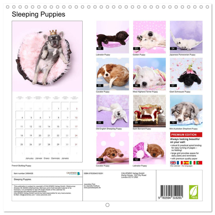 Sleeping Puppies (CALVENDO Monthly Calendar 2027)