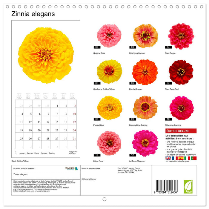 Zinnia elegans (CALVENDO Calendrier mensuel 2027)