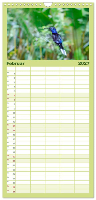 Costa Rica - Tierwelt und Landschaften (CALVENDO Familienplaner 2027)