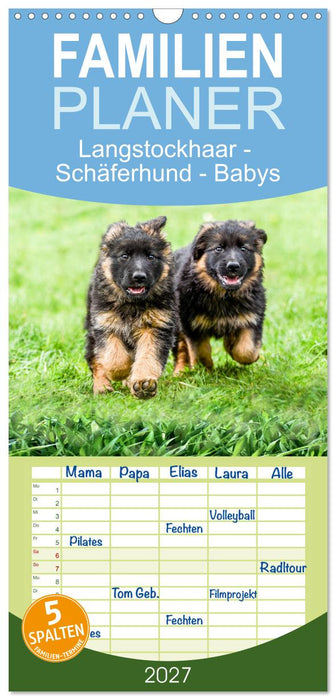 Langstockhaar - Schäferhund - Babys (CALVENDO Familienplaner 2027)