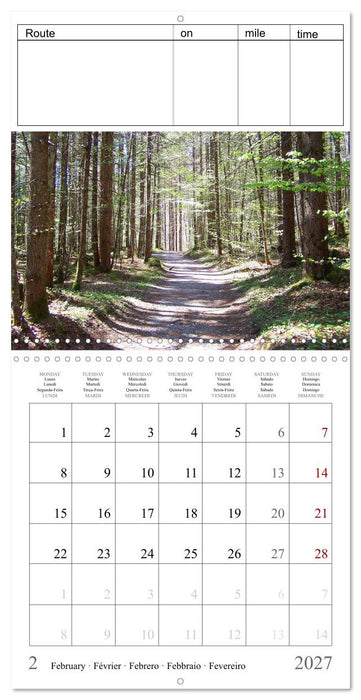 Just go for a run - your personal jogging successes (CALVENDO Monthly Calendar 2027)