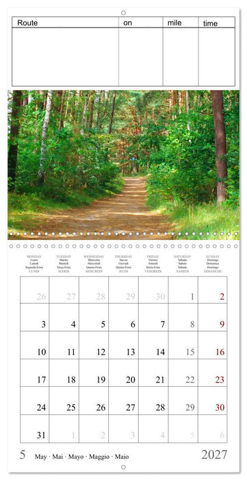 Just go for a run - your personal jogging successes (CALVENDO Monthly Calendar 2027)