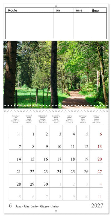 Just go for a run - your personal jogging successes (CALVENDO Monthly Calendar 2027)