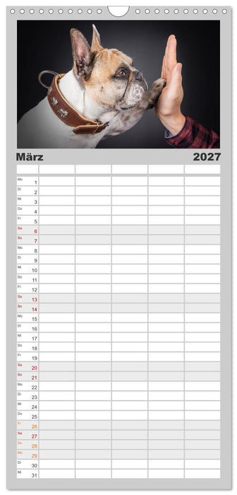 Bullymania - Französische Bulldoggen (CALVENDO Familienplaner 2027)