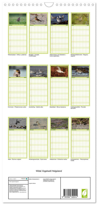 Wilde Vogelwelt Helgoland (CALVENDO Familienplaner 2027)