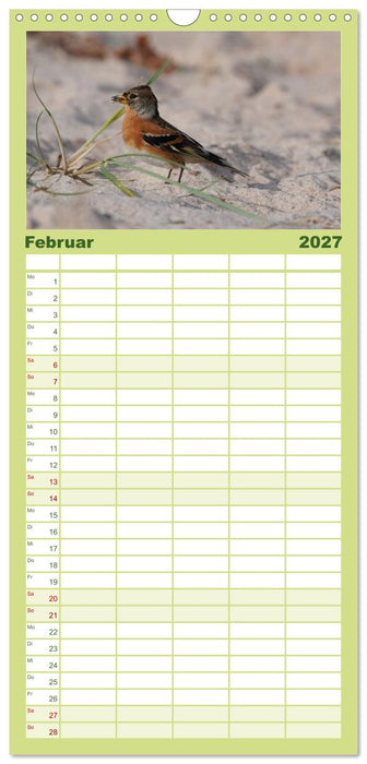 Wilde Vogelwelt Helgoland (CALVENDO Familienplaner 2027)