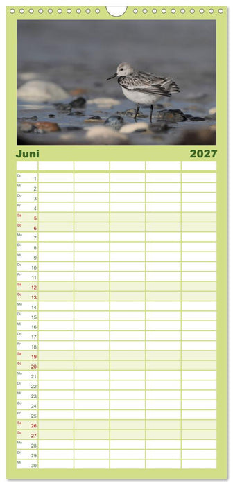 Wilde Vogelwelt Helgoland (CALVENDO Familienplaner 2027)