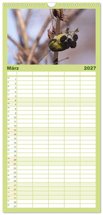 Die farbenfrohe Welt der Finken (CALVENDO Familienplaner 2027)