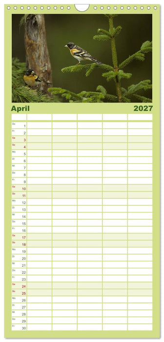Die farbenfrohe Welt der Finken (CALVENDO Familienplaner 2027)