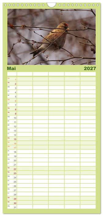 Die farbenfrohe Welt der Finken (CALVENDO Familienplaner 2027)