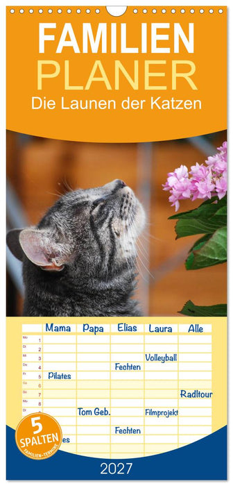 Die Launen der Katzen 2027 (CALVENDO Familienplaner 2027)