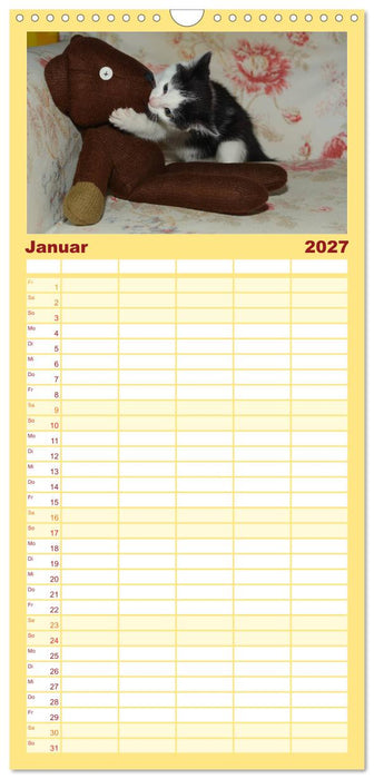 Die Launen der Katzen 2027 (CALVENDO Familienplaner 2027)