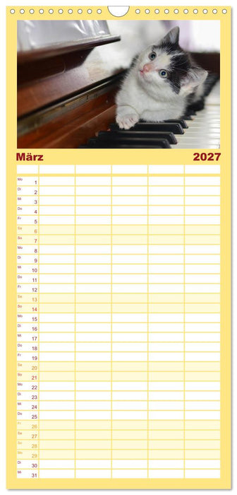 Die Launen der Katzen 2027 (CALVENDO Familienplaner 2027)
