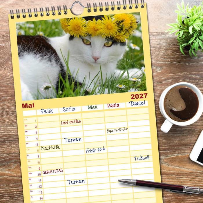 Die Launen der Katzen 2027 (CALVENDO Familienplaner 2027)