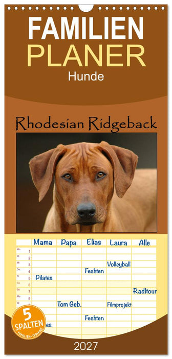 Rhodesian Ridgeback Terminkalender (CALVENDO Familienplaner 2027)