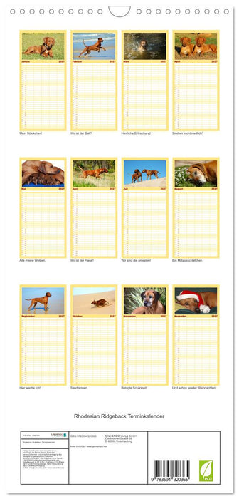 Rhodesian Ridgeback Terminkalender (CALVENDO Familienplaner 2027)