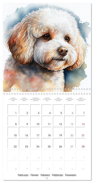 Artistic Dog Breeds (CALVENDO Monthly Calendar 2027)